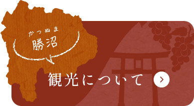 観光について